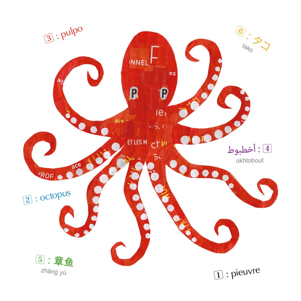 Animaux - Imagier multilingue