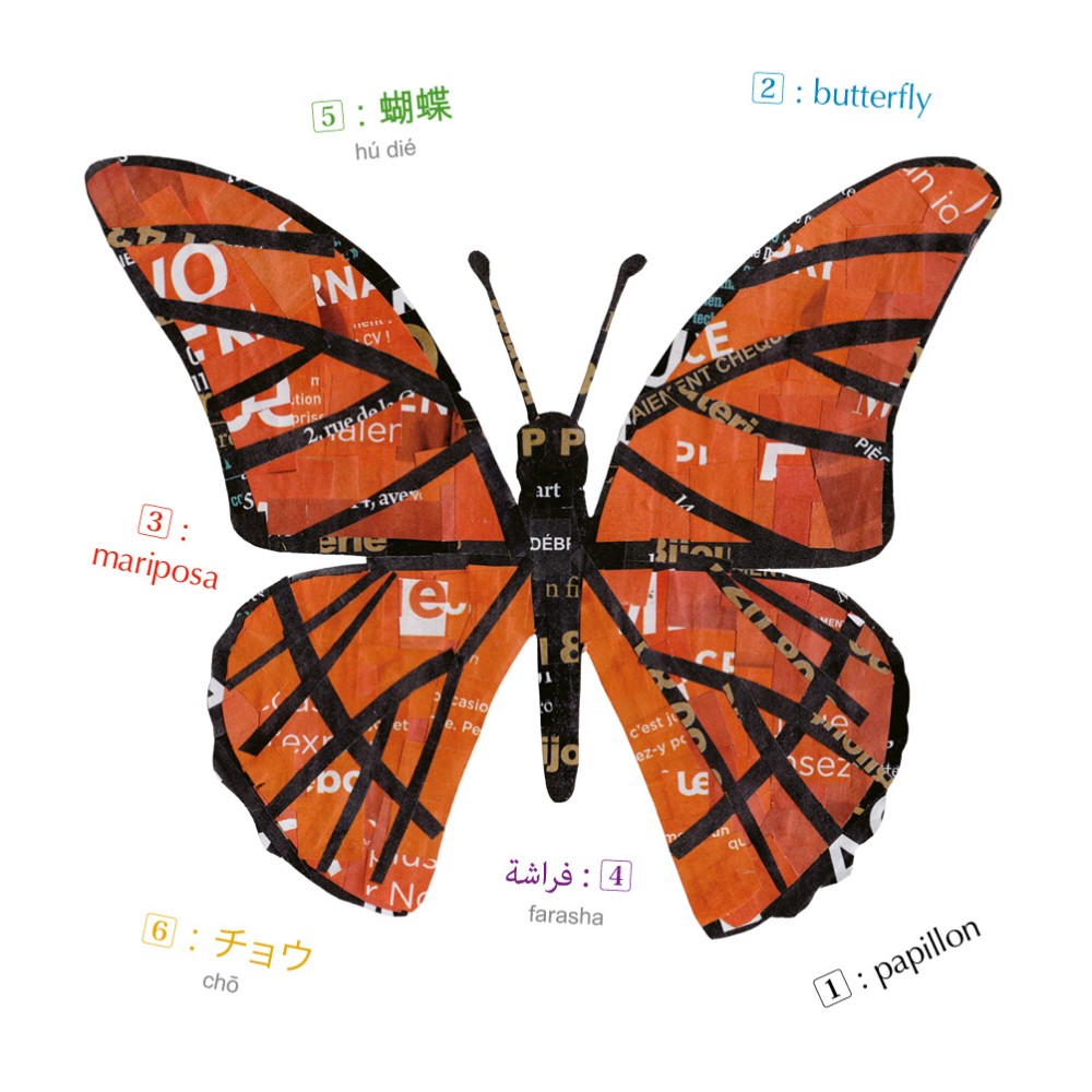 Animaux - Imagier multilingue
