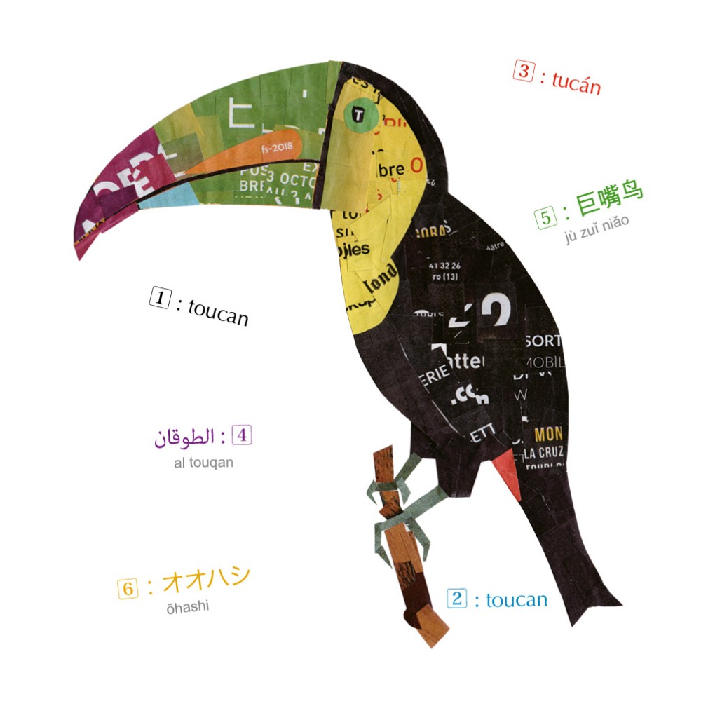 Animaux - Imagier multilingue