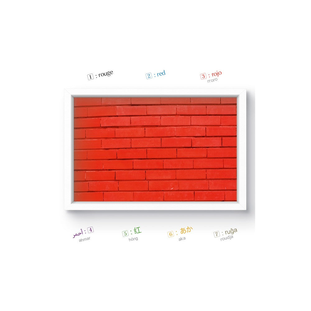 Couleurs - Imagier multilingue