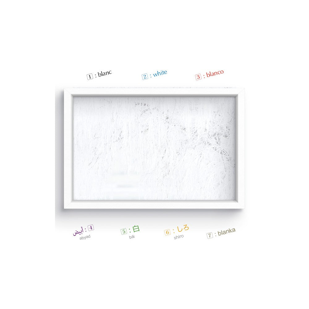 Couleurs - Imagier multilingue