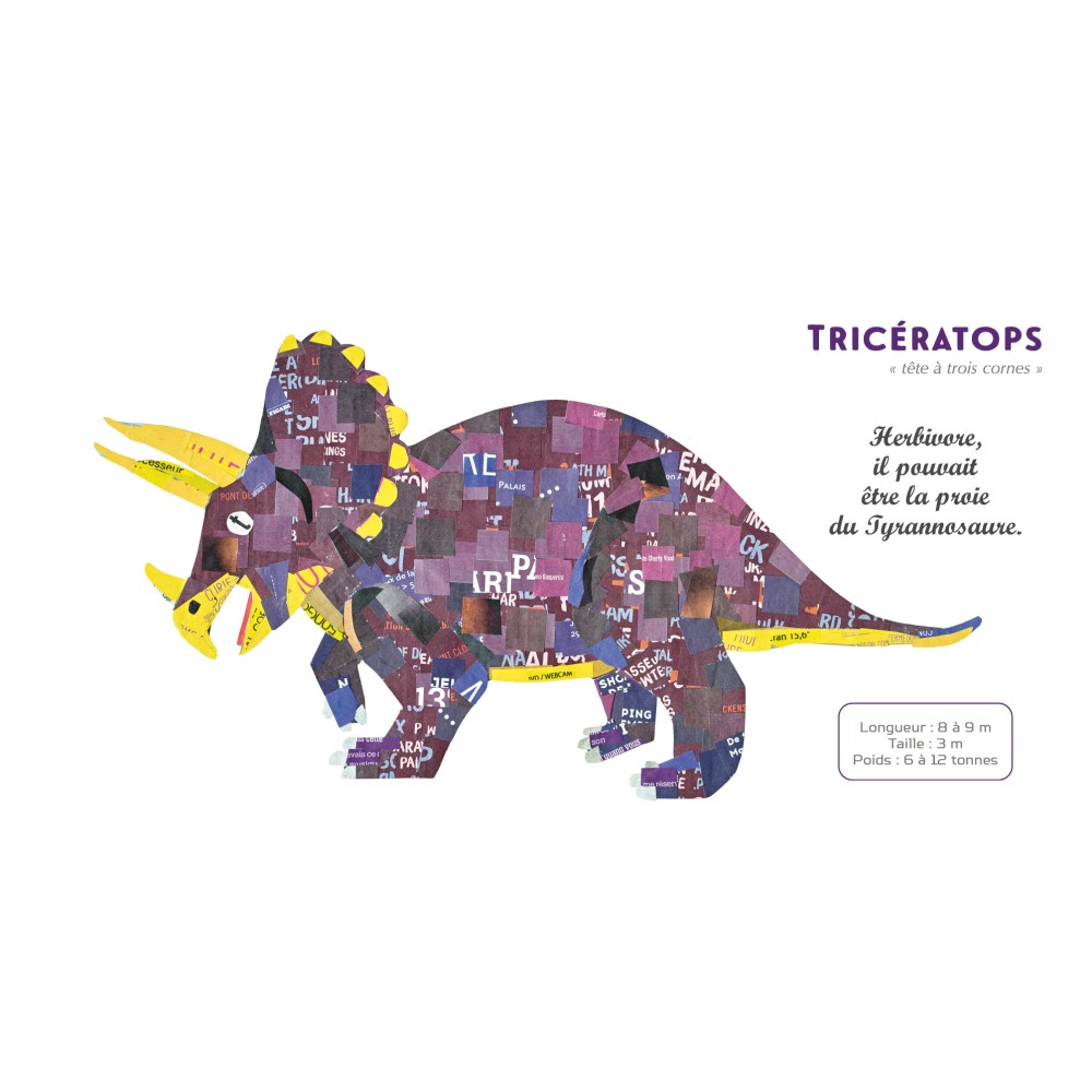 Dinosaures - Mon imagier futé