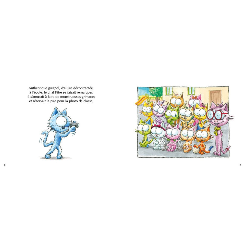 Le chat Pitre