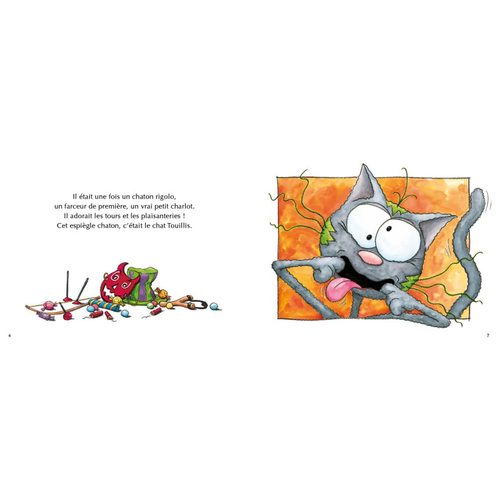 Le chat Touillis