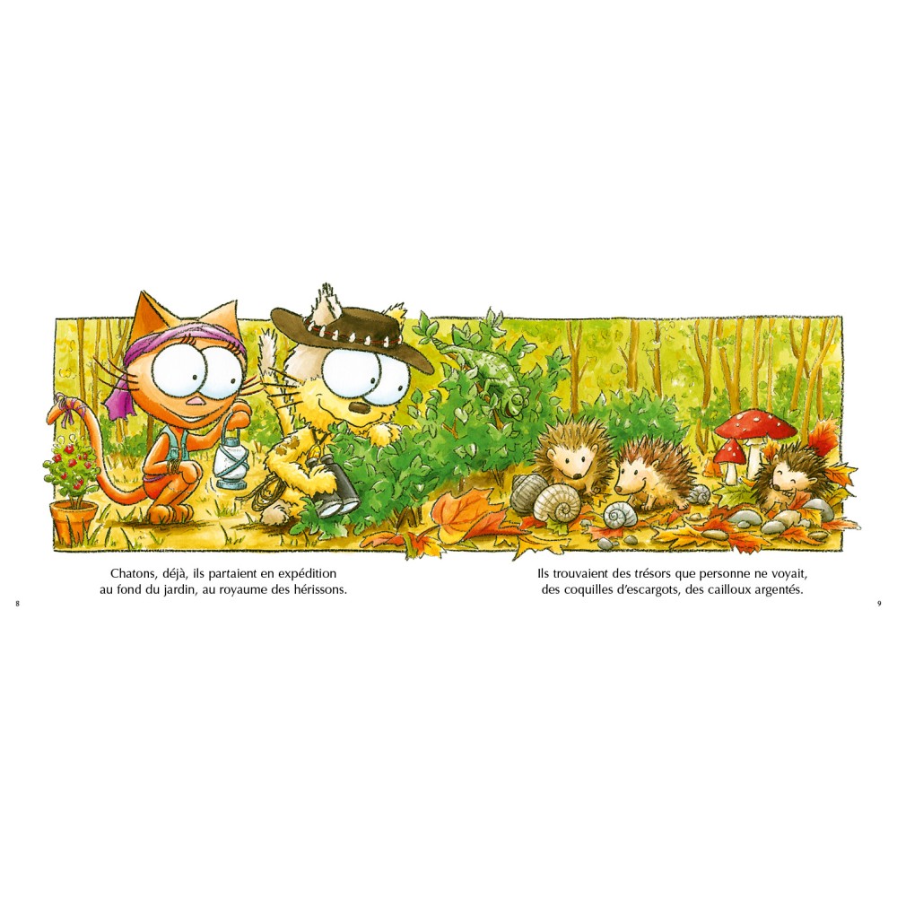 Les chats Venturiers