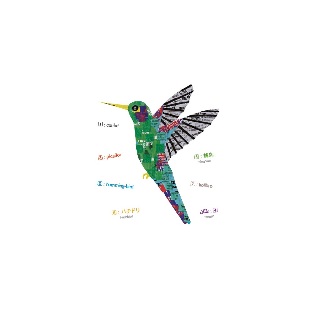 Oiseaux - Imagier multilingue
