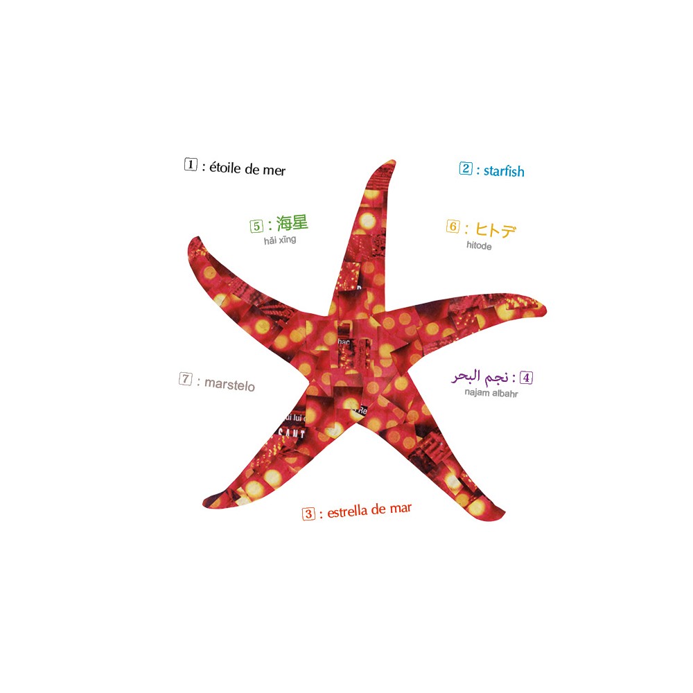 Poissons - Imagier multilingue